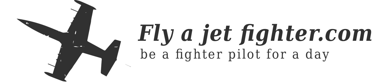 flyajetfighter logo